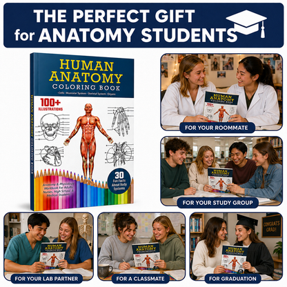 Coloring Marker Set