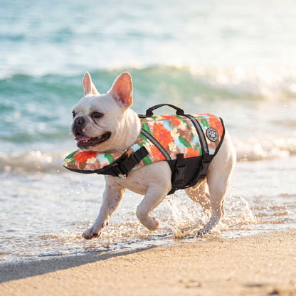 Pawfloaty - dog life jacket with head rest