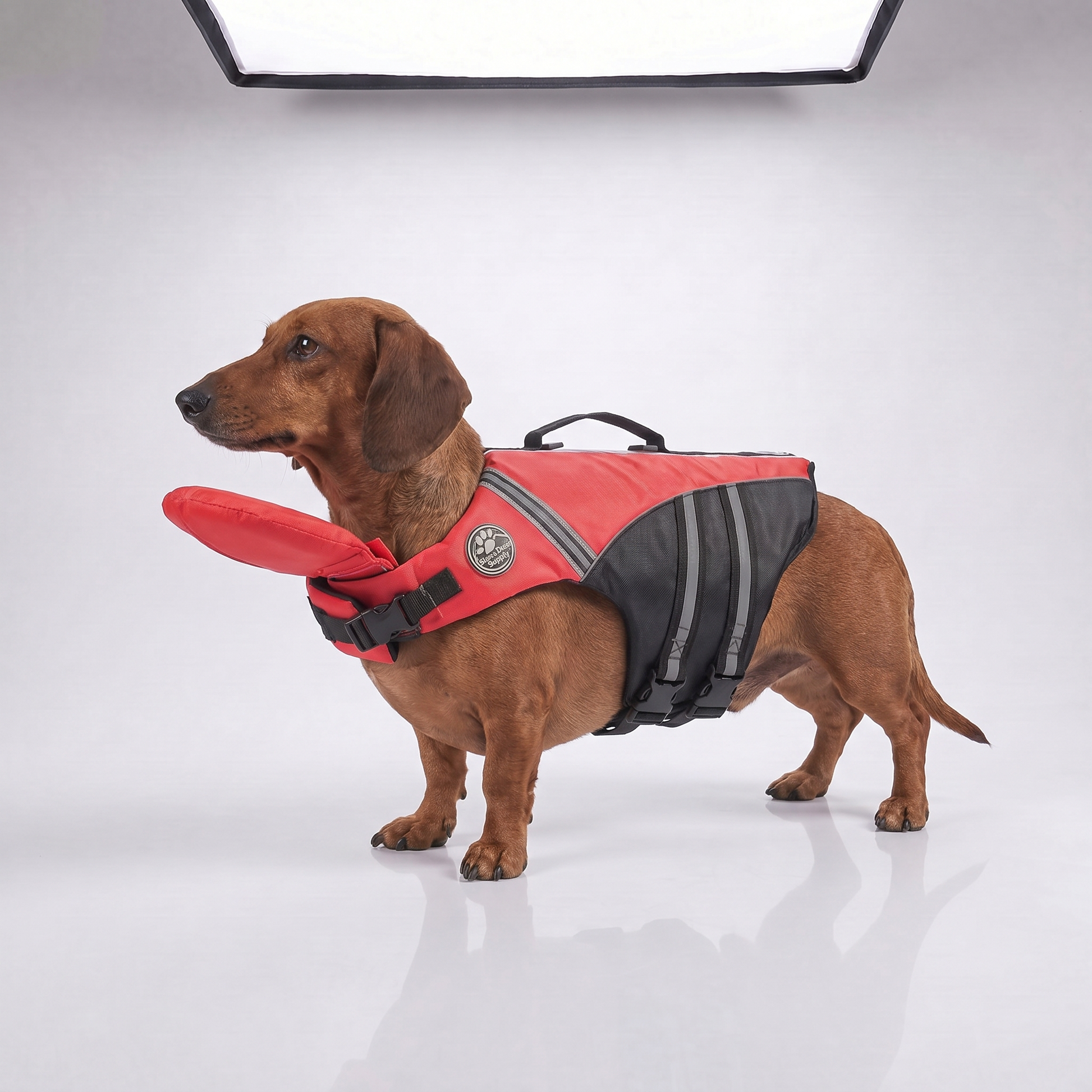 Pawfloaty - dog life jacket with head rest