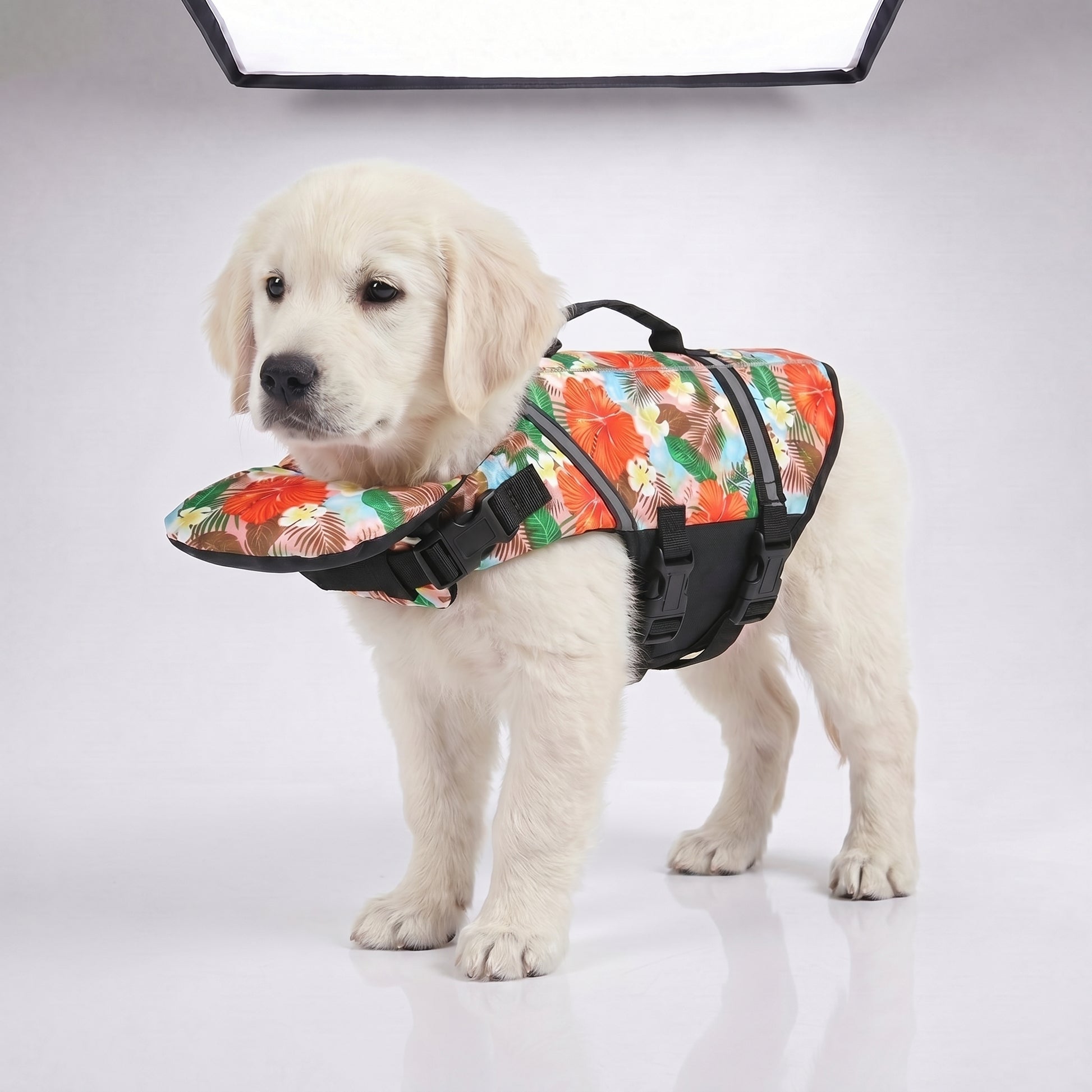 Pawfloaty - dog life jacket with head rest