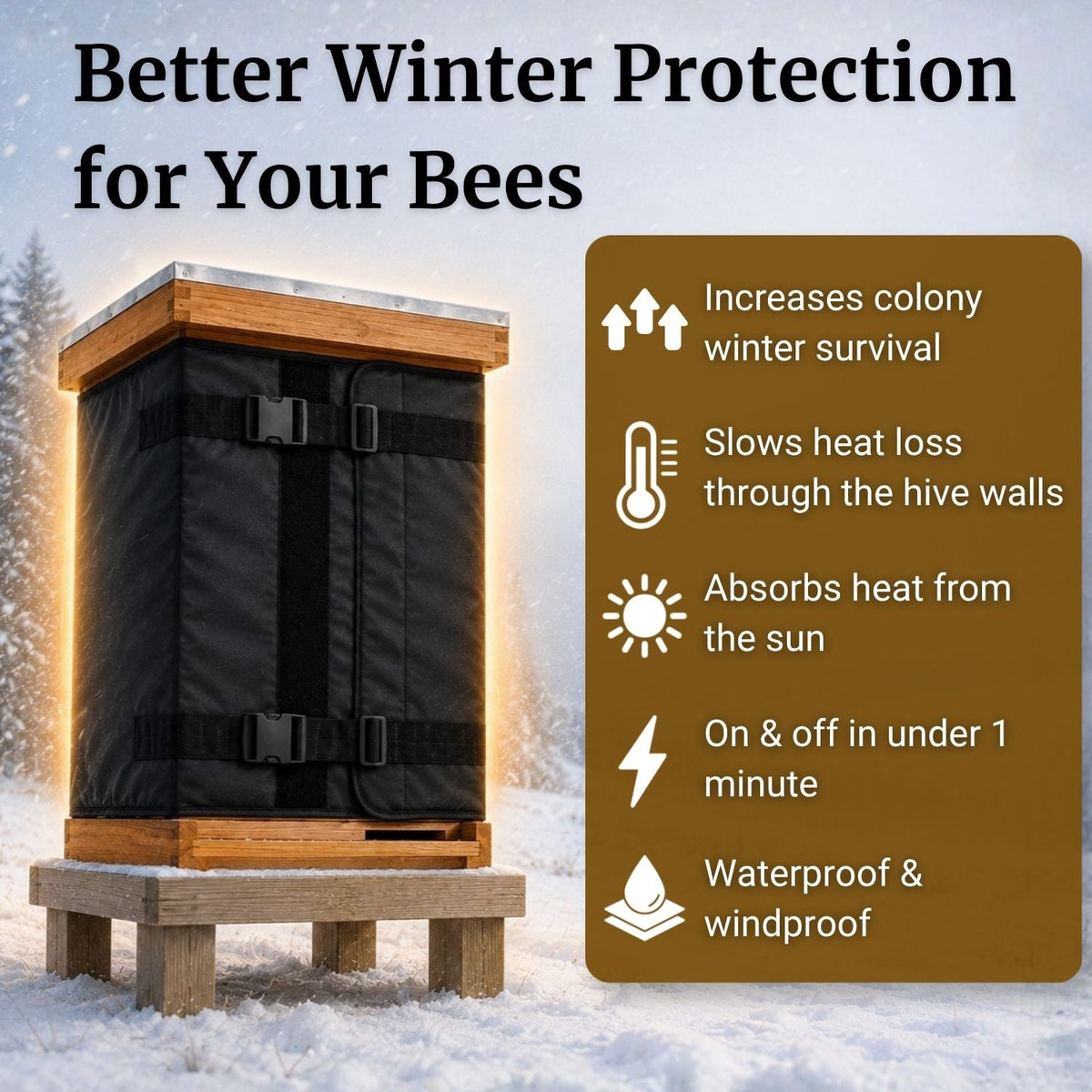 Beehive Beetle Trap