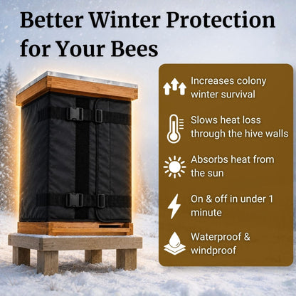 Beehive Beetle Trap