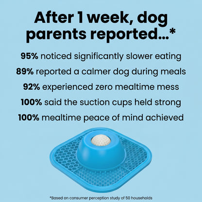 Dog Soothing Bowl