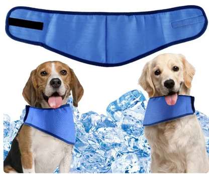 dog cooling bandana